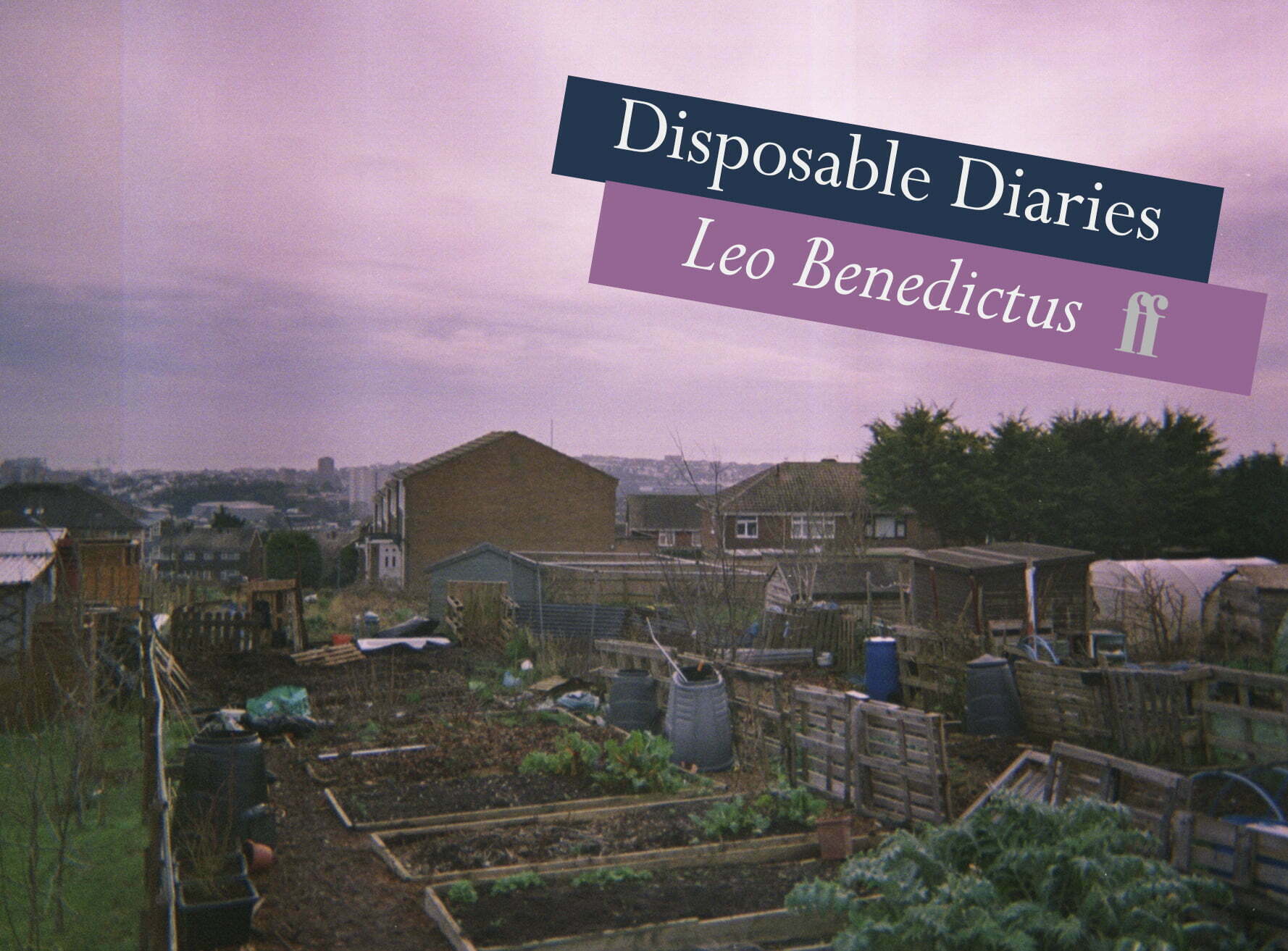 Disposable Diaries