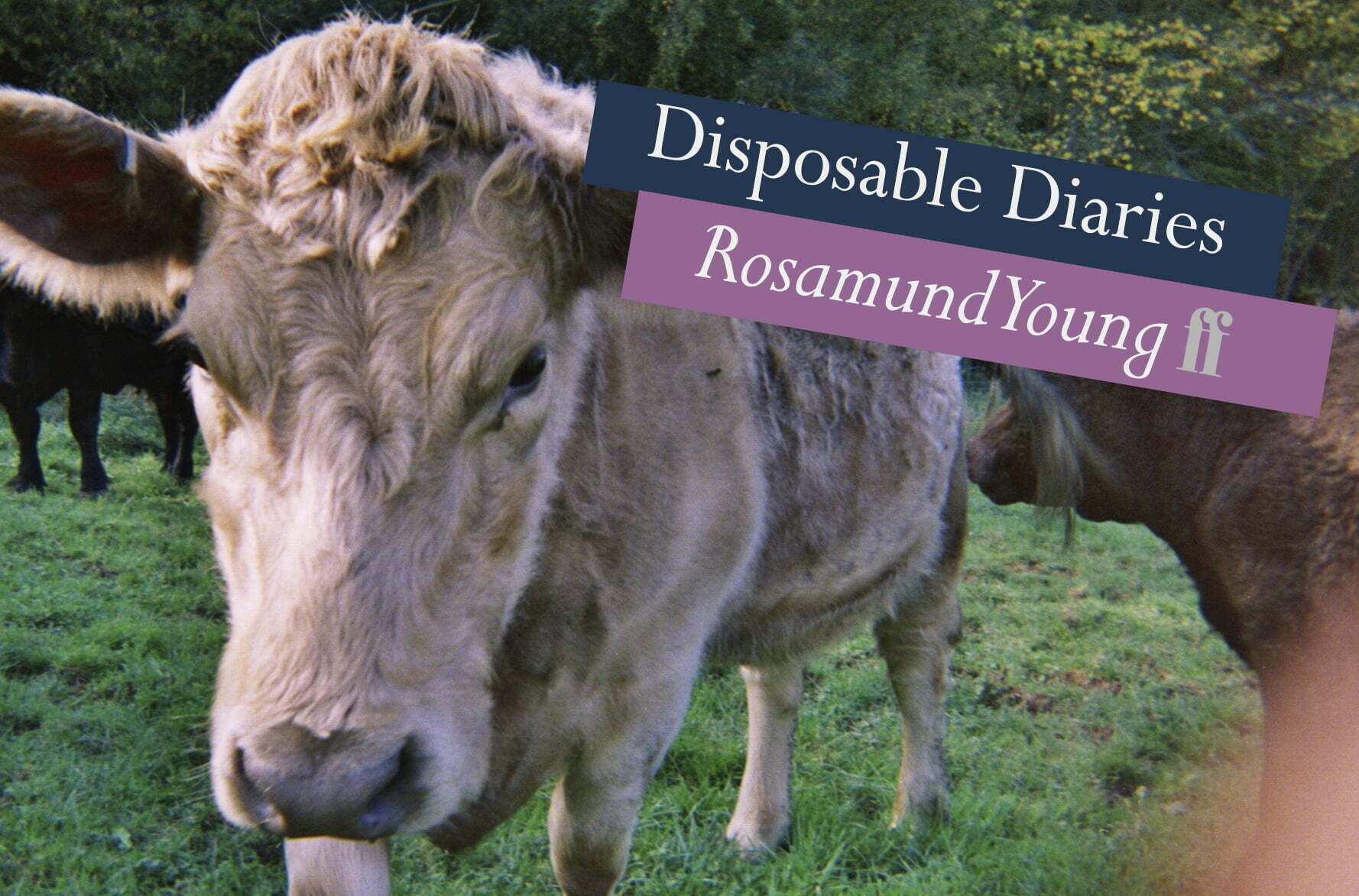 Rosamund Young Cover header