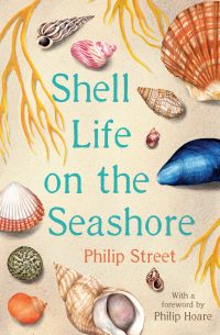 Shell-Life-on-the-Seashore.jpg